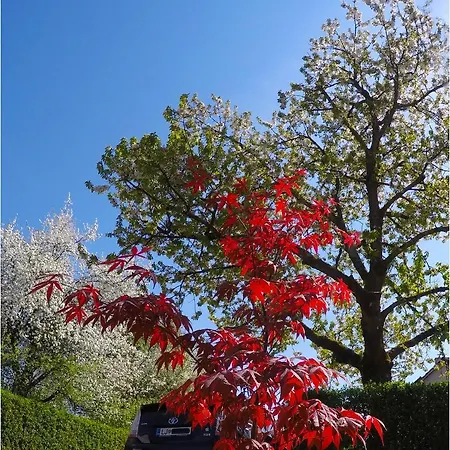 Southwest 3 With Aircon & Free Parking شقة *