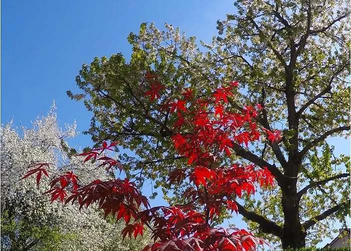 Southwest 3 With Aircon & Free Parking Apartmán *